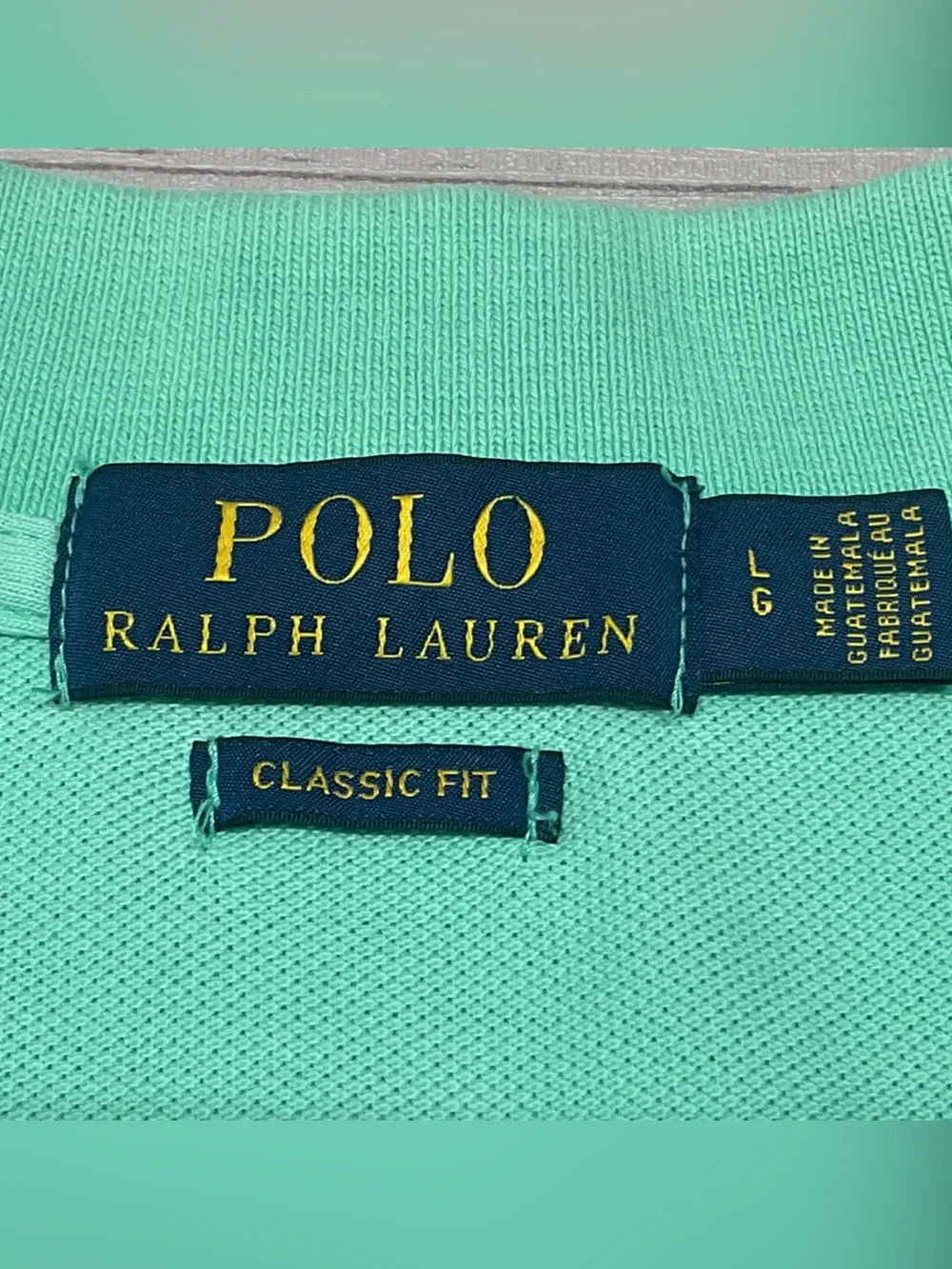 Polo Ralph Lauren Classic Fit Men’s Mint Green Polo Shirt with Navy Pony